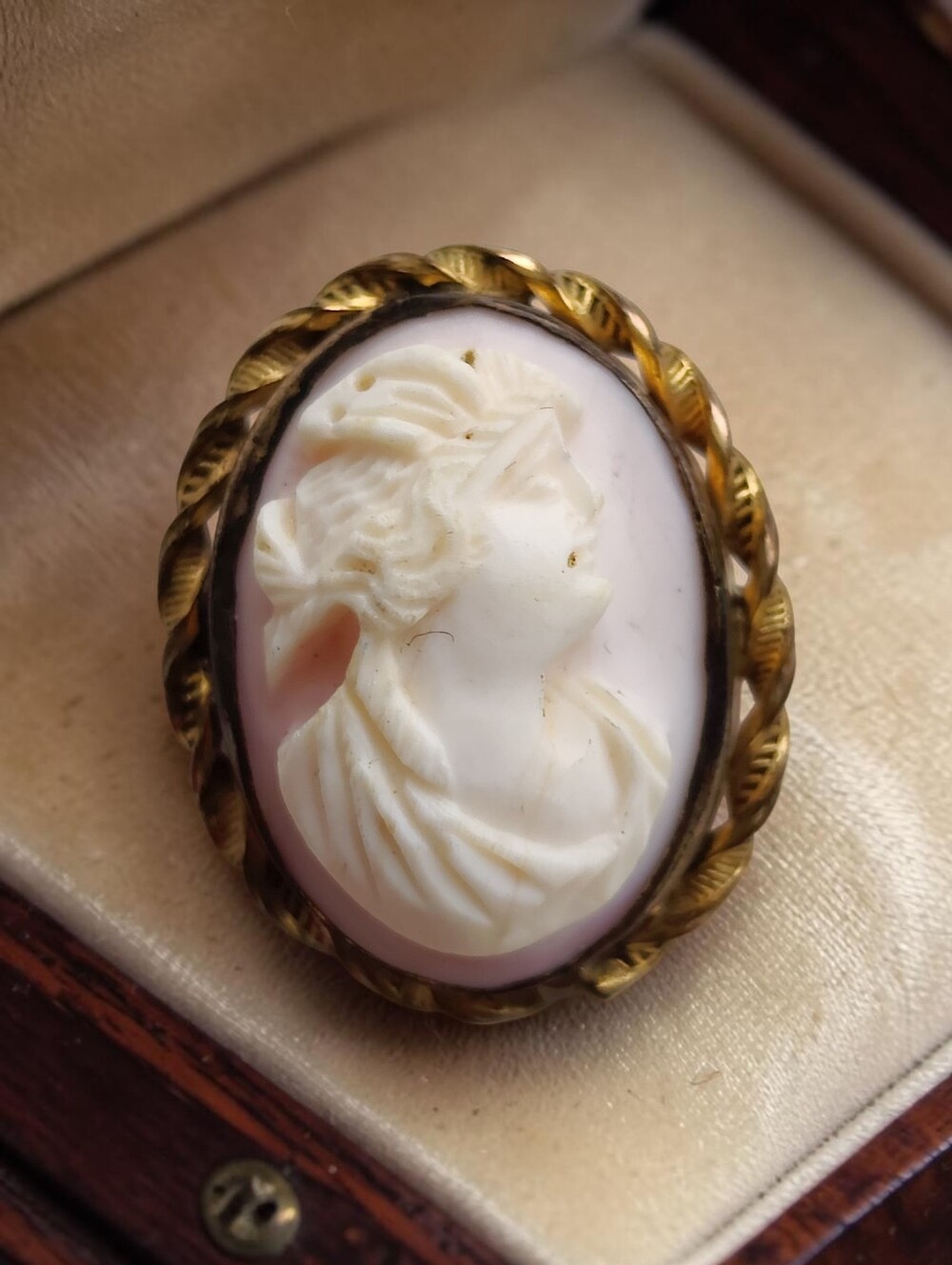 Antique Pink Conch Shell Cameo Brooch